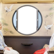 Image for article titled This Kyoto Train Sure Is Beautiful